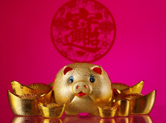 golden pig chinese new year